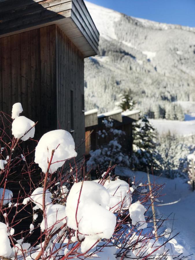 Chalet Sternwarte Hohentauern Dış mekan fotoğraf