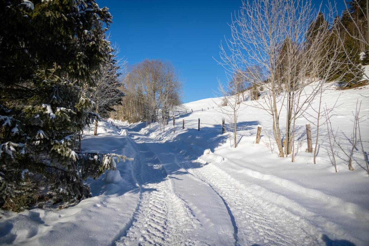 Chalet Sternwarte Hohentauern Dış mekan fotoğraf